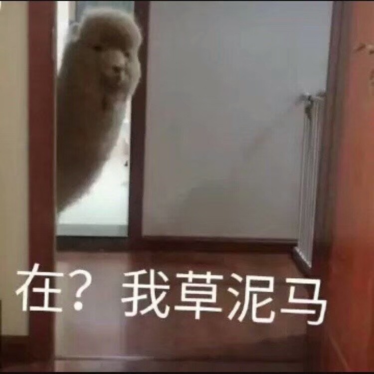 20190308
