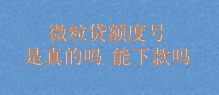 微粒贷额度号是真的吗  绑定银行卡能下款吗34 / 作者:卡农小编 / 