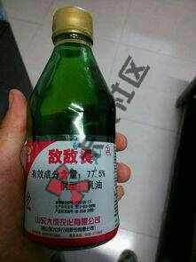 走投无路70 / 作者:w16518 / 