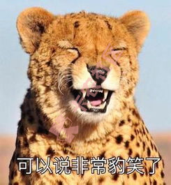 借款时你遇到的最爆笑的话73 / 作者:大刀 / 