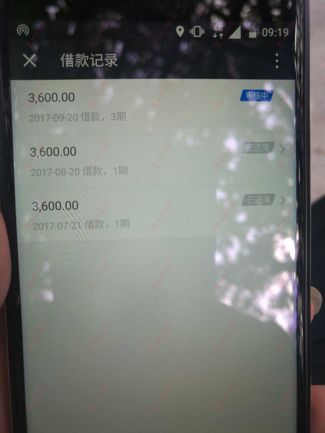 花豹，稳吗！说的7点前到！这都9点了还没到！48 / 作者:1042130837 / 
