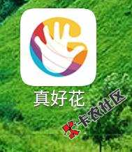 到账，安卓入口，真好花50 / 作者:oafe1979 / 