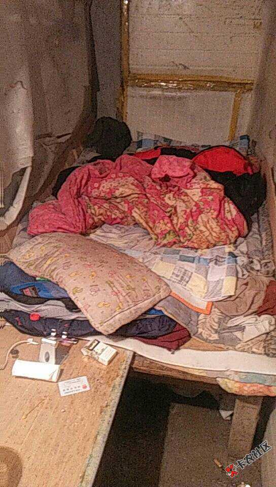 我想知道昨天早上那个老哥，老姐被救了没有。干嘛那么想不开，哎 ...77 / 作者:希望大家都好 / 