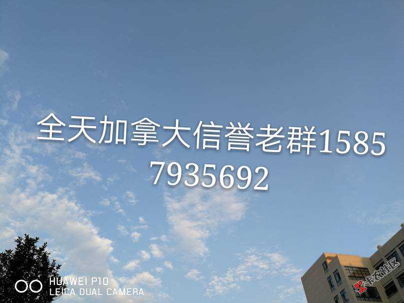 庄家贷。能缓口气了95 / 作者:ywy5202004 / 