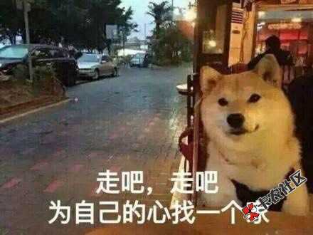 快亮天了，昨天被爆三家，虽然坦然了，但是并没有那么开心，面子已经没有， ...31 / 作者:庸俗不过肤浅 / 