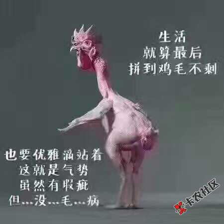 连顿好饭都吃不上还天天被追债，反正想明白了要钱没有要命也不给 ...74 / 作者:开始与结束 / 