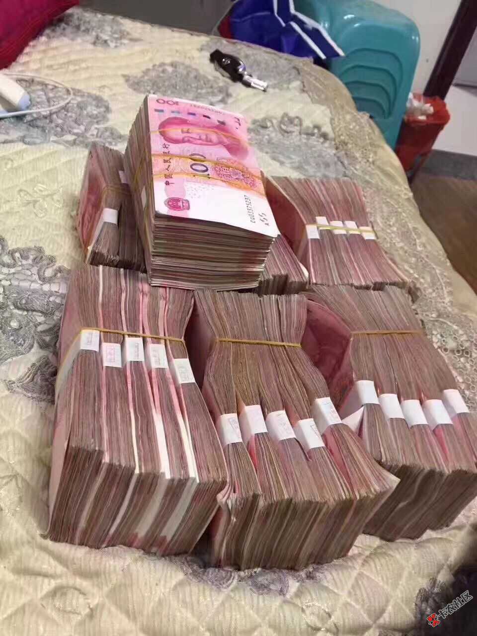 广告狗、拖b，快来笼子里面，广告位招租啦54 / 作者:撸你妹 / 