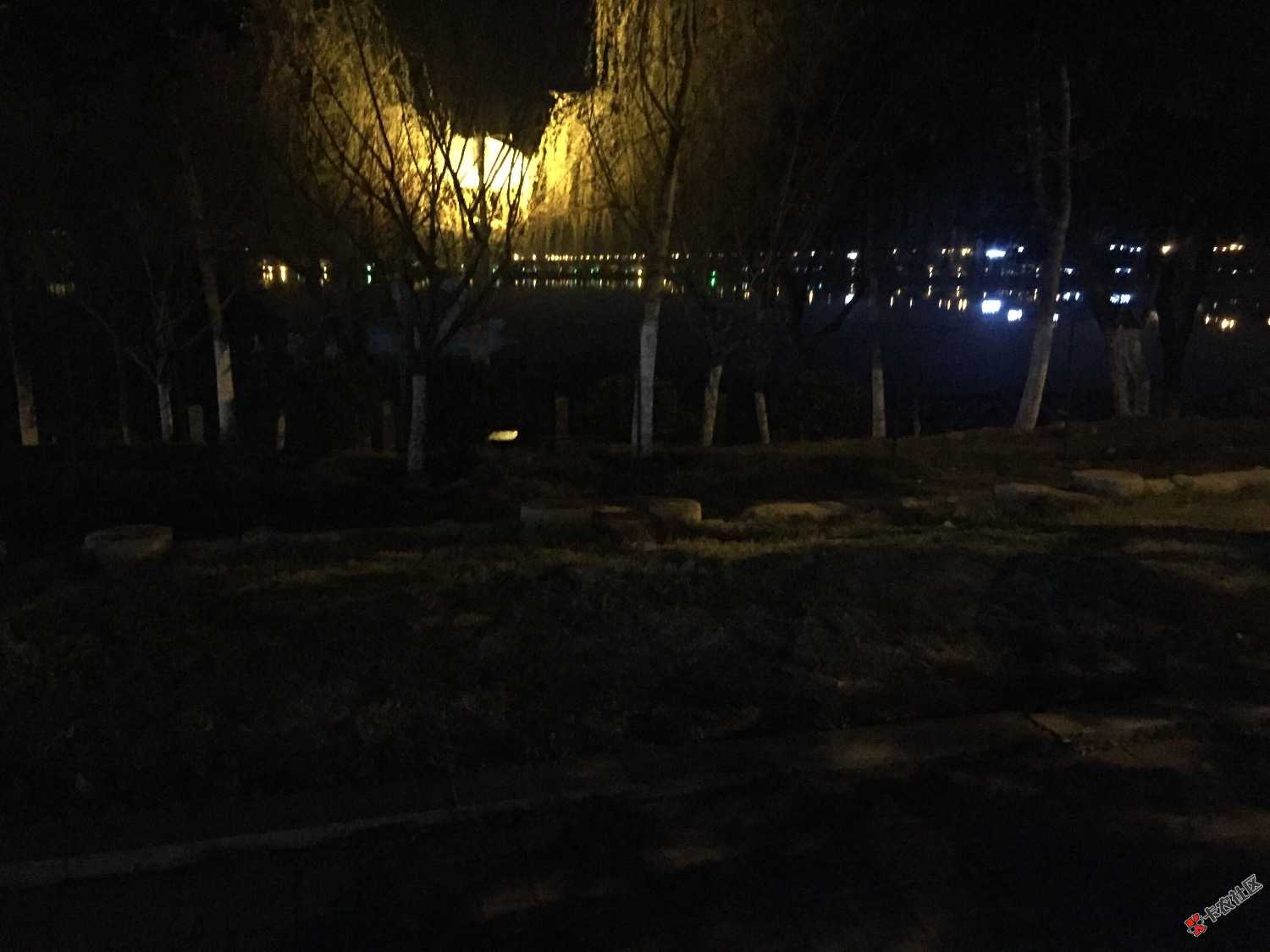这次是真的要走了..我早知道自己会有这么一天！庆幸的是让我有机会还陪儿子 ...65 / 作者:双黑选手 / 