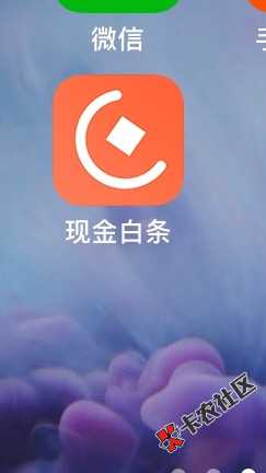 老哥们，这个现金白条谁用过，逾期一天还能不能借出来 ...45 / 作者:ZJZZ567 / 