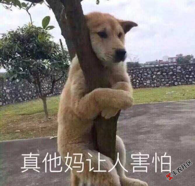 辛辛苦苦撸了6000块钱全特么送给yy那群娘们了，哎☹️ ...95 / 作者:隐性埋名。 / 