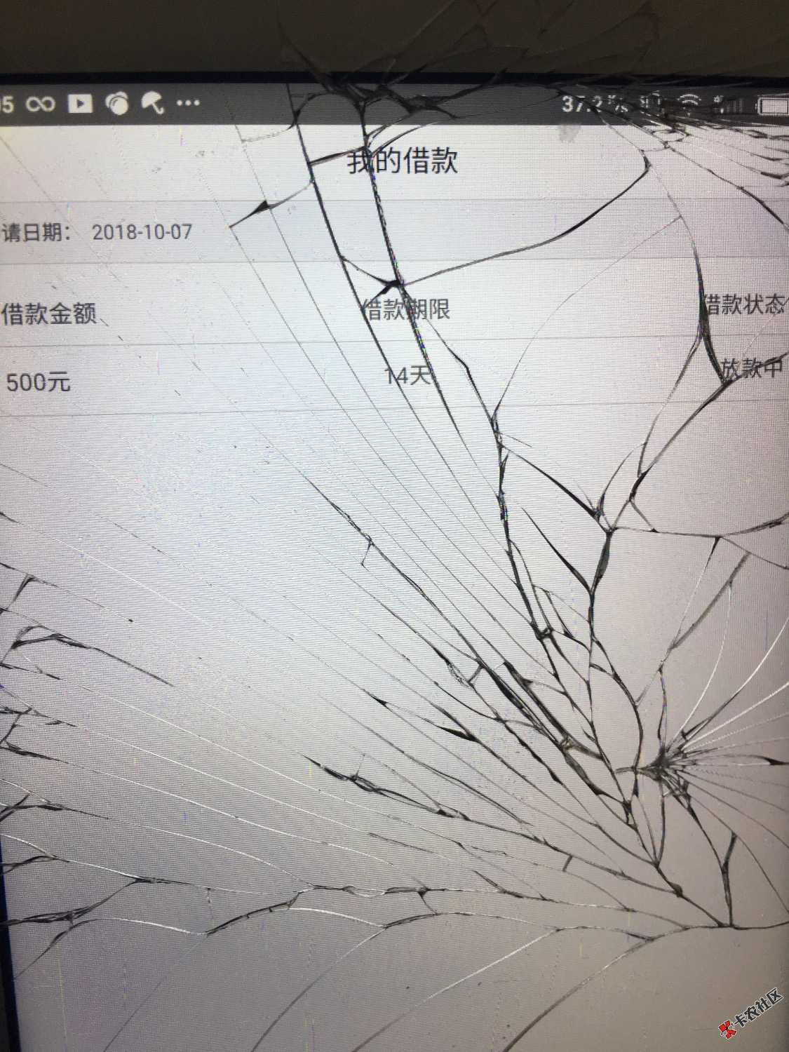 随时花交了100智商费能不能下。有没有老哥撸过。如果下了补图 ...89 / 作者:37448833 / 