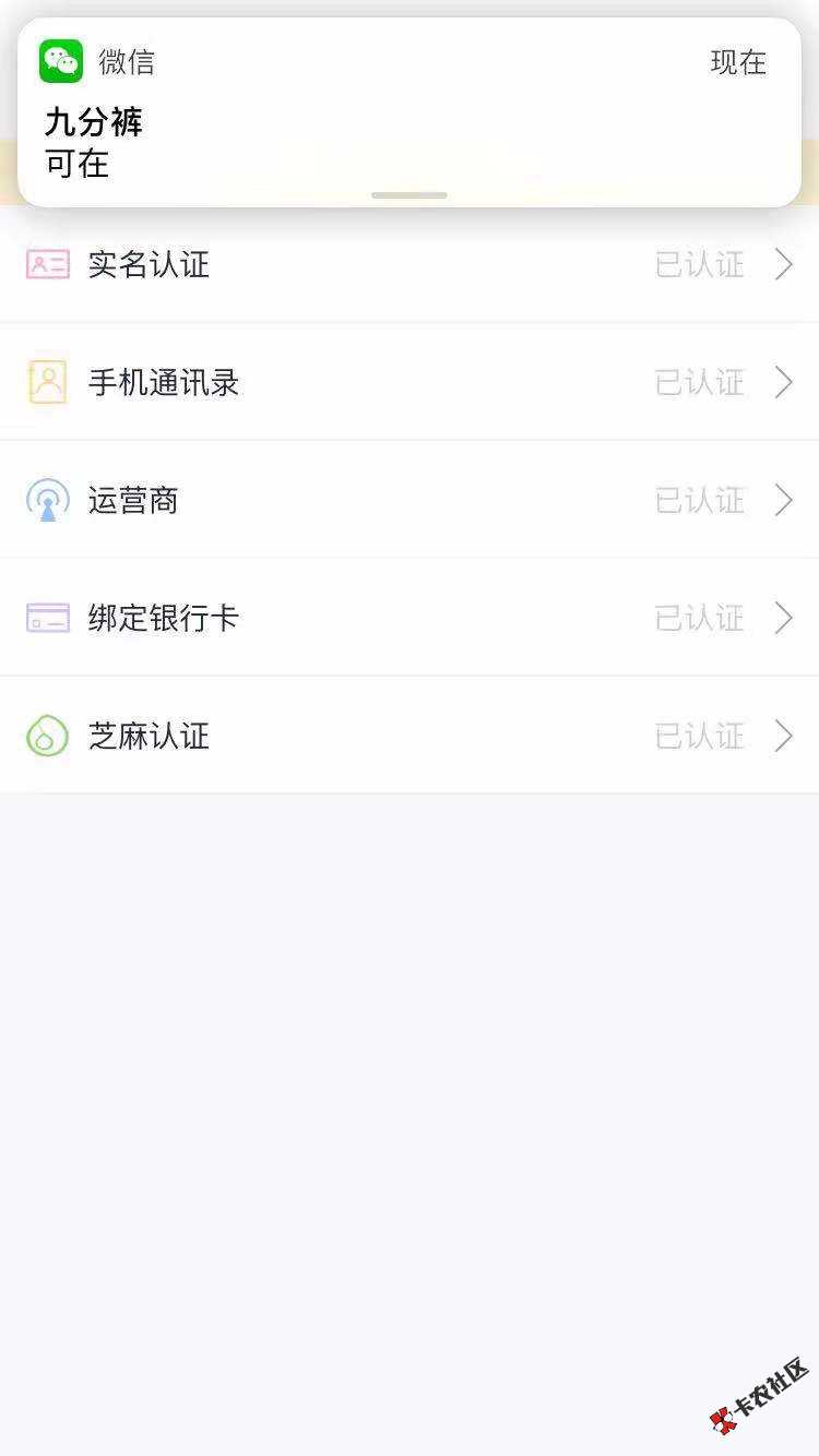 小猪系列新马甲23件套，小金猪7 / 作者:vvcjj / 