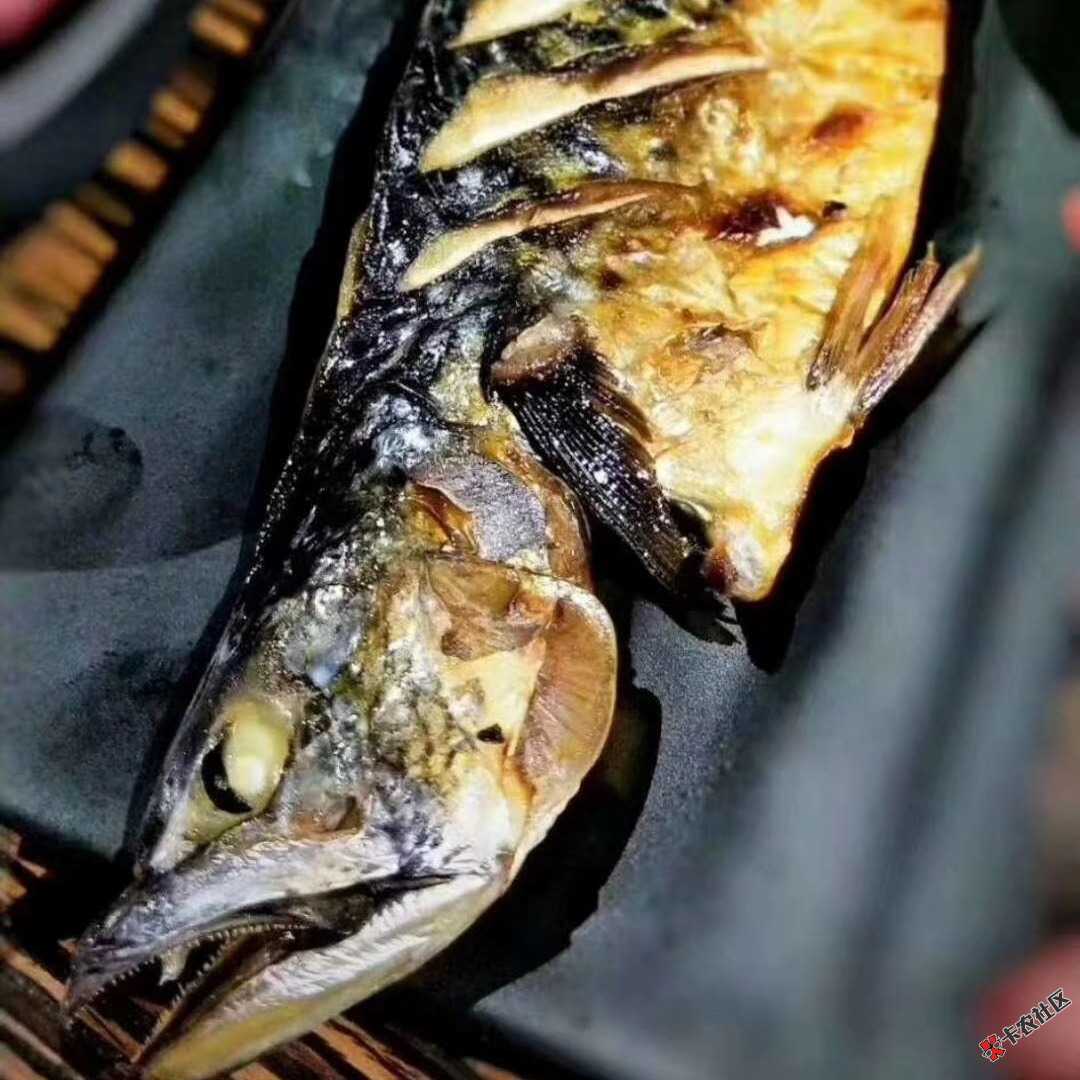 看见团几块十块的就恶心！做人都到乞食几块的地步了，请问你还有什么脸面当人？ ...89 / 作者:独行侠1985 / 