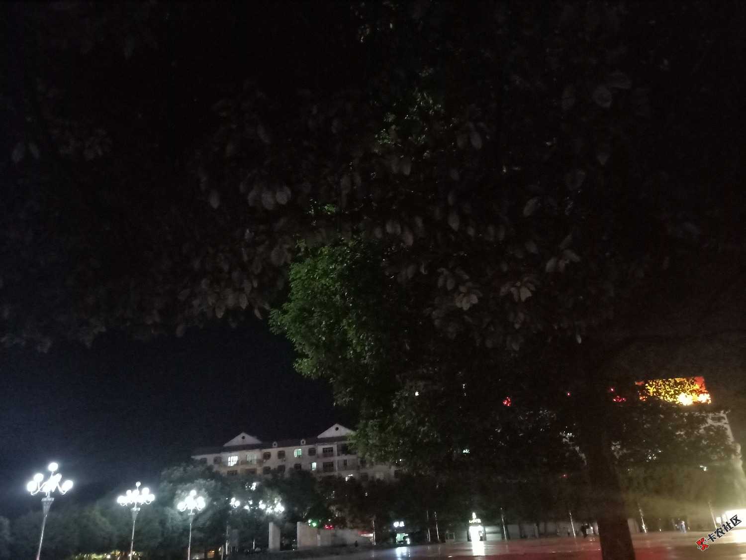 想不到自己也有一天沦落街头，无处归去。当初萌萌地就动了网贷，一动就上瘾。虽 ...88 / 作者:横竖都是二 / 