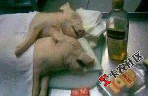 奇速贷系列没撸过的赶紧撸啊，七件套，一家过其他家基本稳。我都过了四家。全过 ...91 / 作者:1yyyyyyyyyy / 