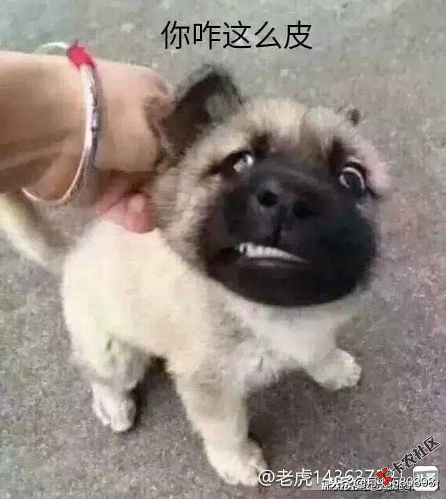 你们的易周宝都过了，为啥我就拒了！我不是人系列吗？92 / 作者:采蘑菇的小姑凉 / 
