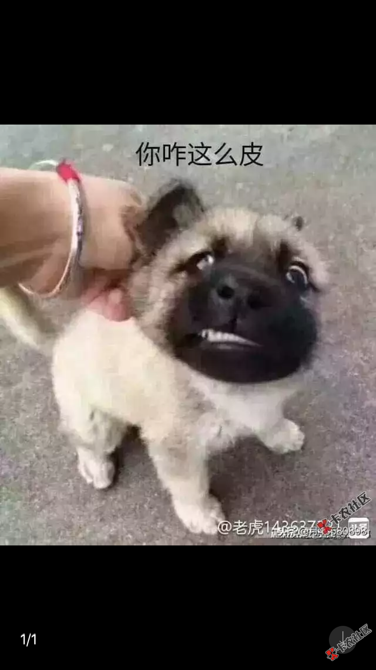 一个口不下，条子也欺负新人吗40 / 作者:空军大队长 / 