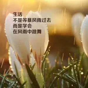 看到你们申请网贷平台希望你们早点上岸我很少发朋友圈网贷逾期不 ...76 / 作者:齐哥伦比亚 / 