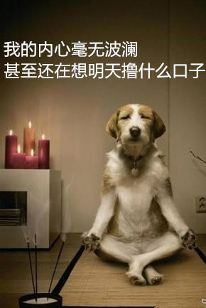 #情人节活动#仅限单身参与！回帖送标签和花贝~99 / 作者:飞泉鸣月 / 