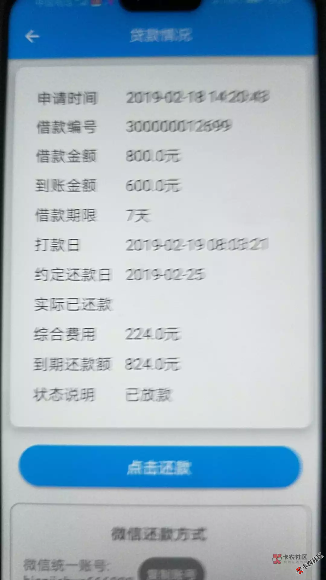 #便捷花系列#  便捷花，坚挺老口子，今日有下款45 / 作者:卡农110 / 