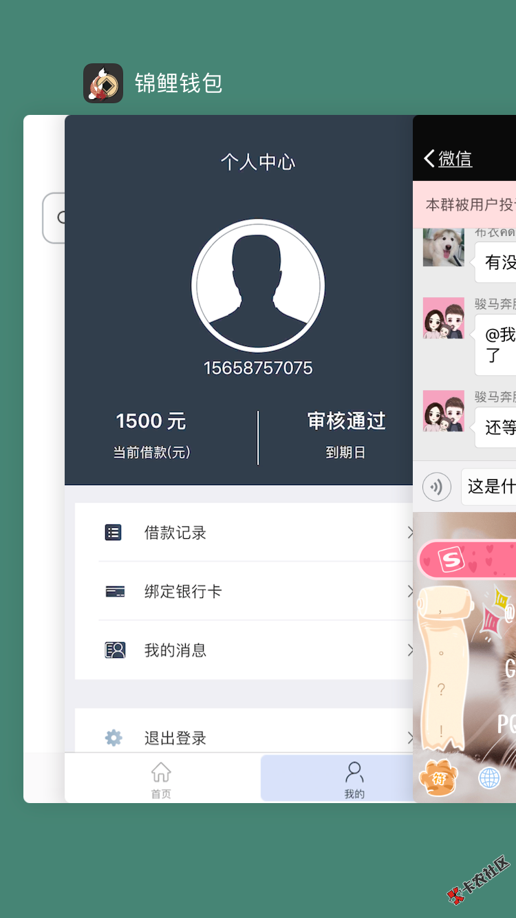 这锦鲤钱包有回访吗？，98 / 作者:烧钱啊 / 