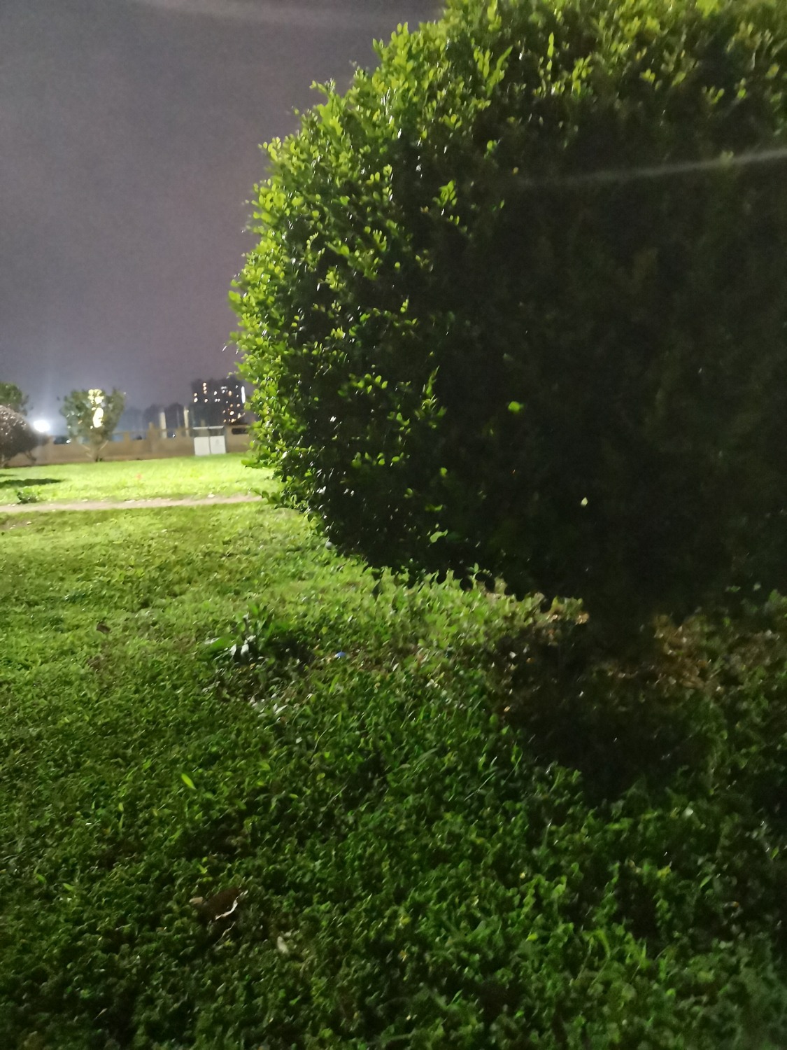 自作孽不可活，妻离子散无家可归，这就是我的所有家当了，最后二 ...54 / 作者:啦啦啦叫 / 