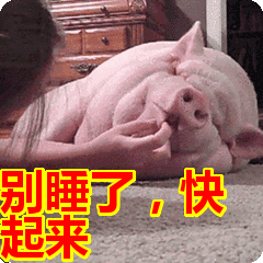 睡不着是不是应该撸几个口子