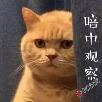 #易卡贷#喜鹊快贷全新申请通道，有信用卡的来，不是APP入...11 / 作者:卡农桃夭夭 / 