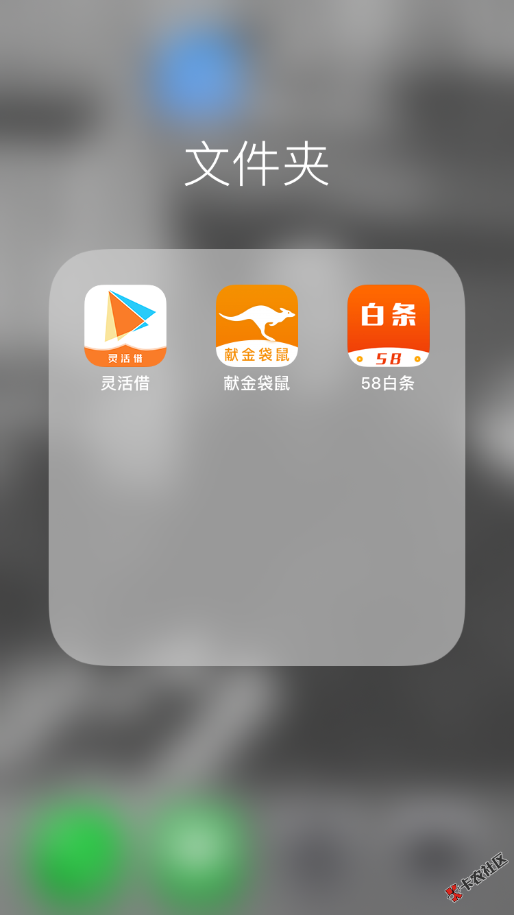 老哥们，问一下58白条献金袋鼠，灵活借(不是一个系列)这三个有一 ...43 / 作者:毕加索 / 