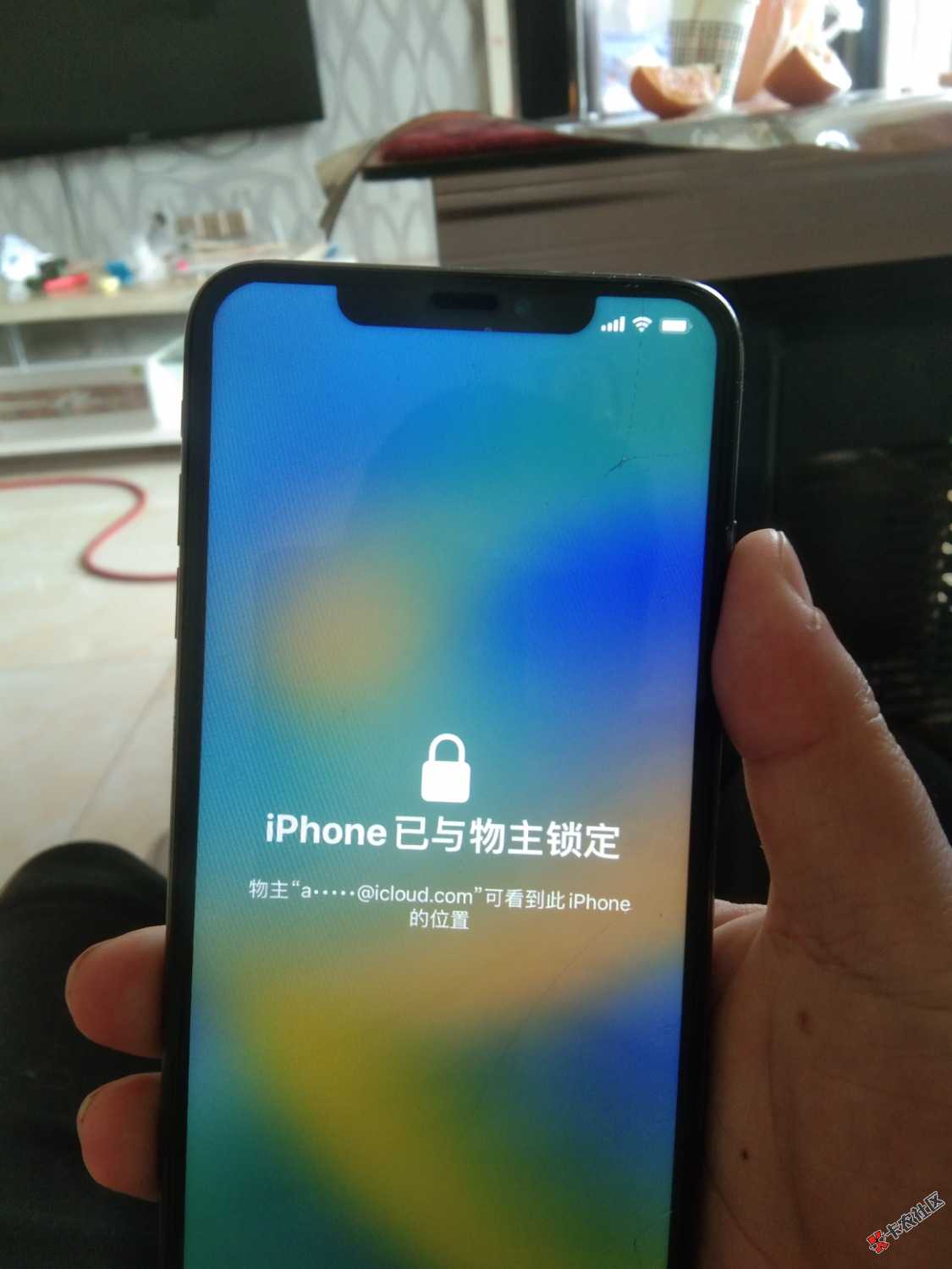 1680066149287.jpg