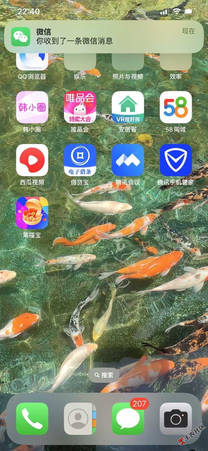 第一次下高炮，需要养吗老哥们！五花八门系的53 / 作者:上岸/8: / 