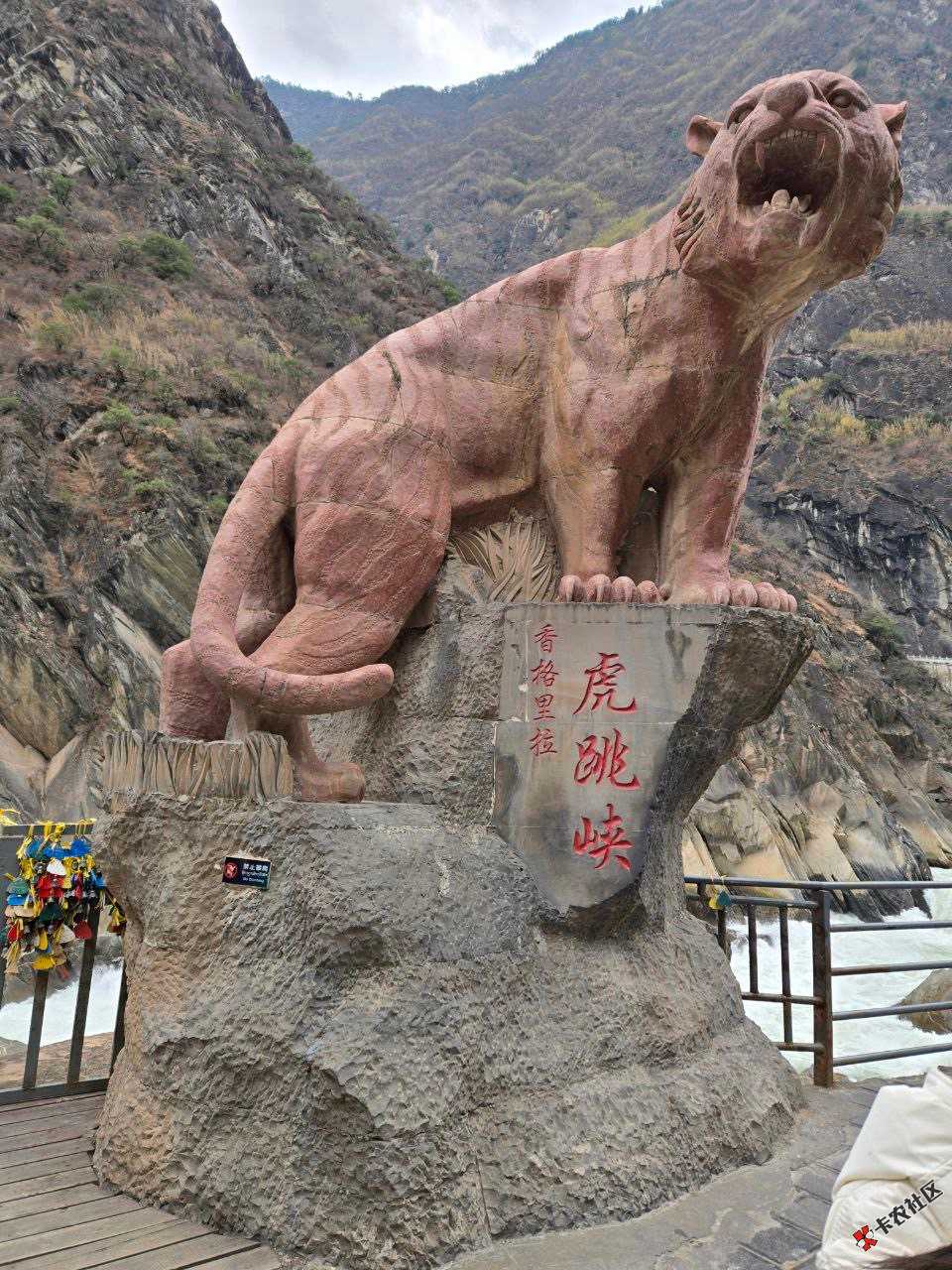 有没大哥80 / 作者:我走不了了 / 