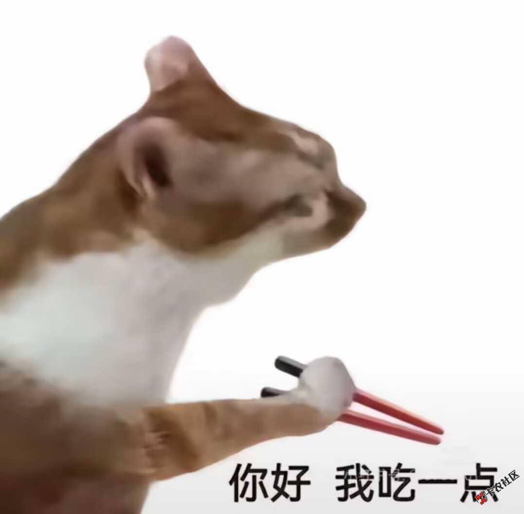 4张二类+1张养老账户，显示开满了3 / 作者:陈岸协 / 