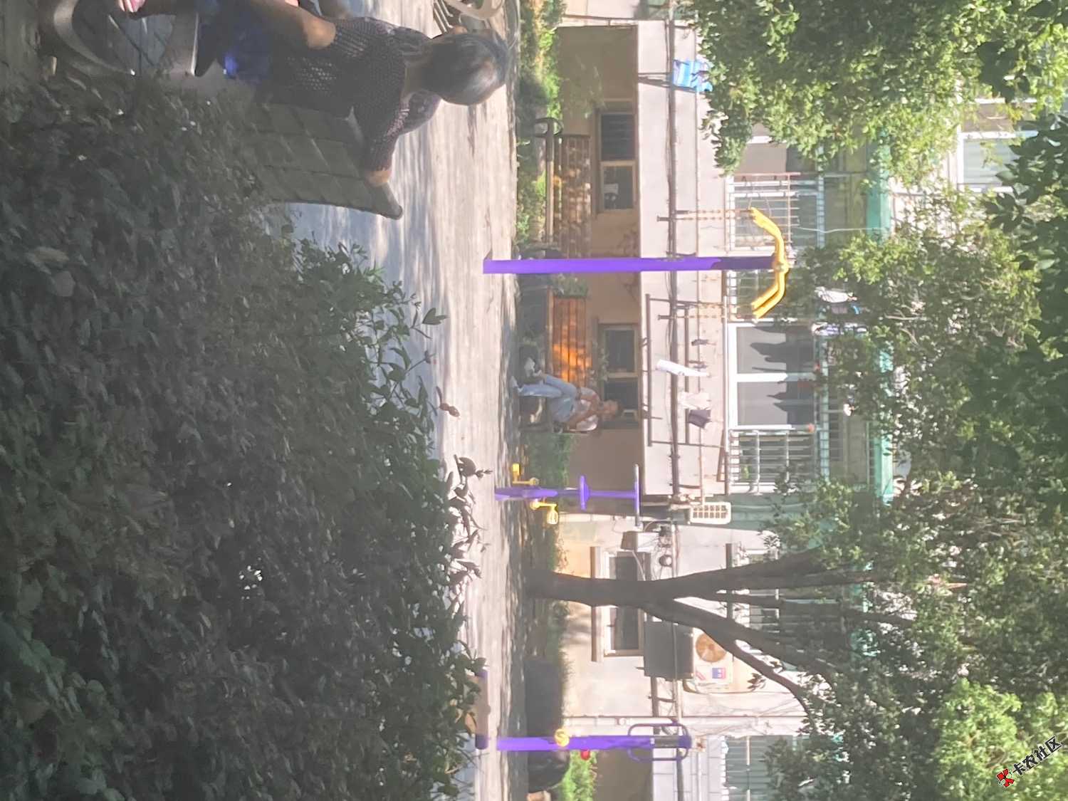 IMG_3386.jpeg