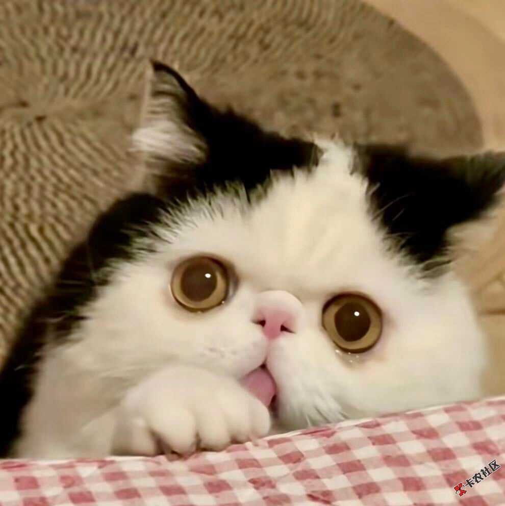 深圳哪yo快ch72 / 作者:命里无时 莫强求 / 