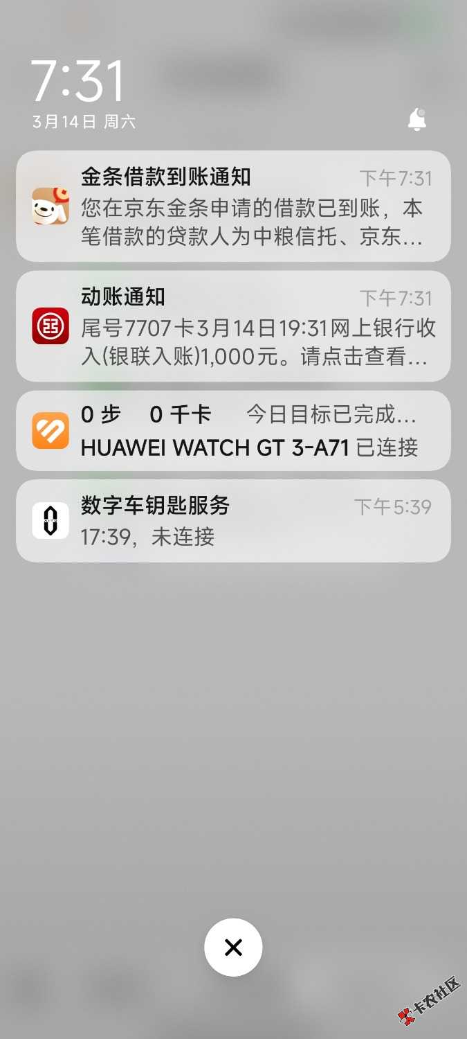 京东本体万年没额度，京东金条出额度了！！！100 / 作者:湖边小宇 / 