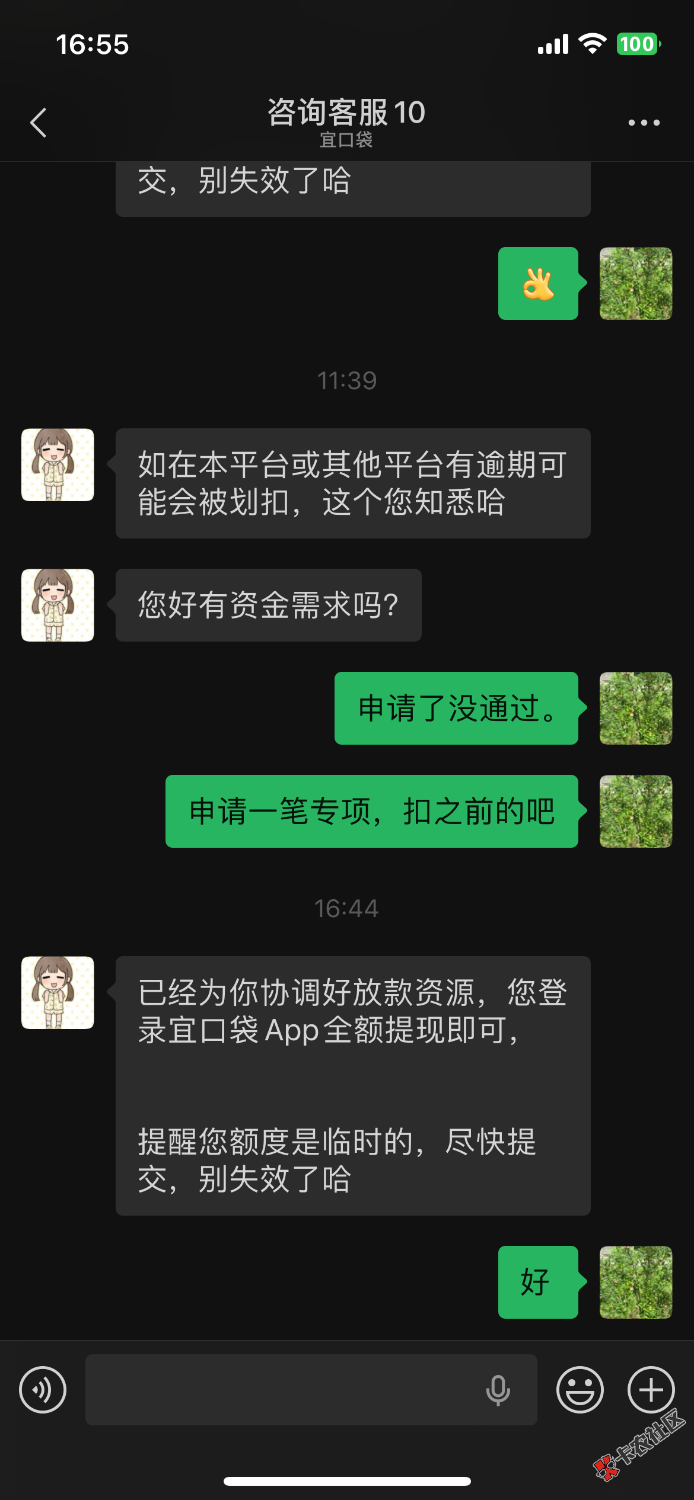 IMG_1230.png