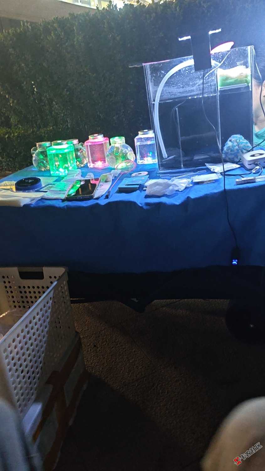 wx_camera_1780146611296.jpg