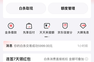 白条100额度oppo商城卡两台
