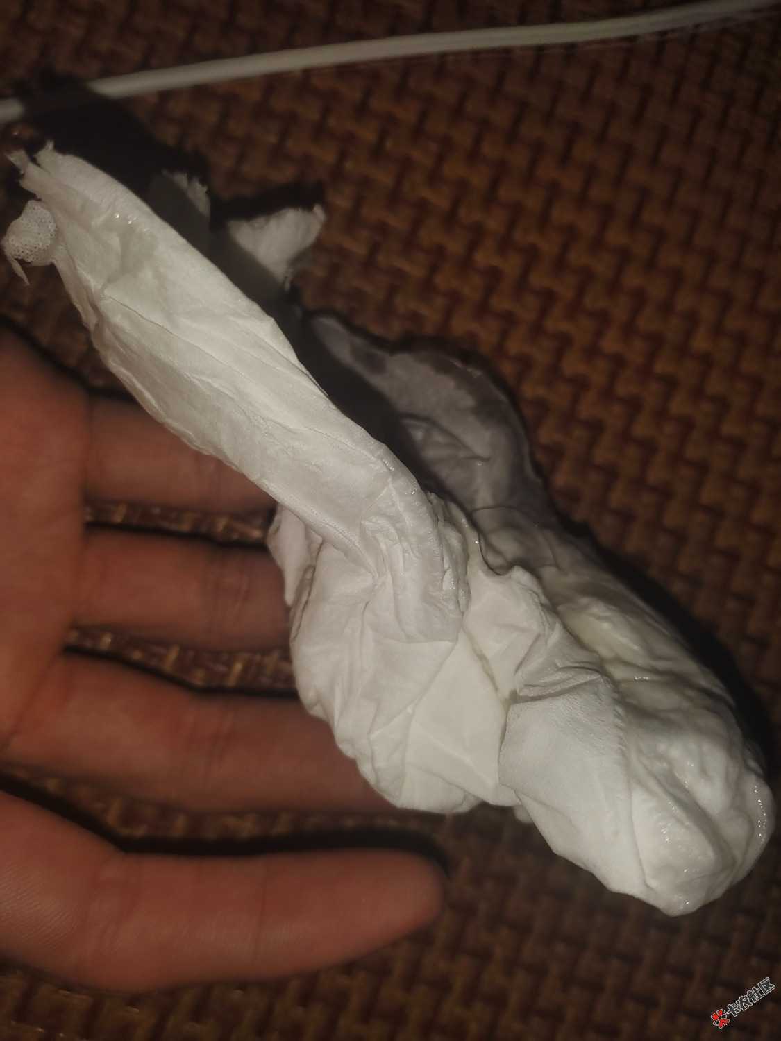 睡了66 / 作者:卡农第二帅& / 