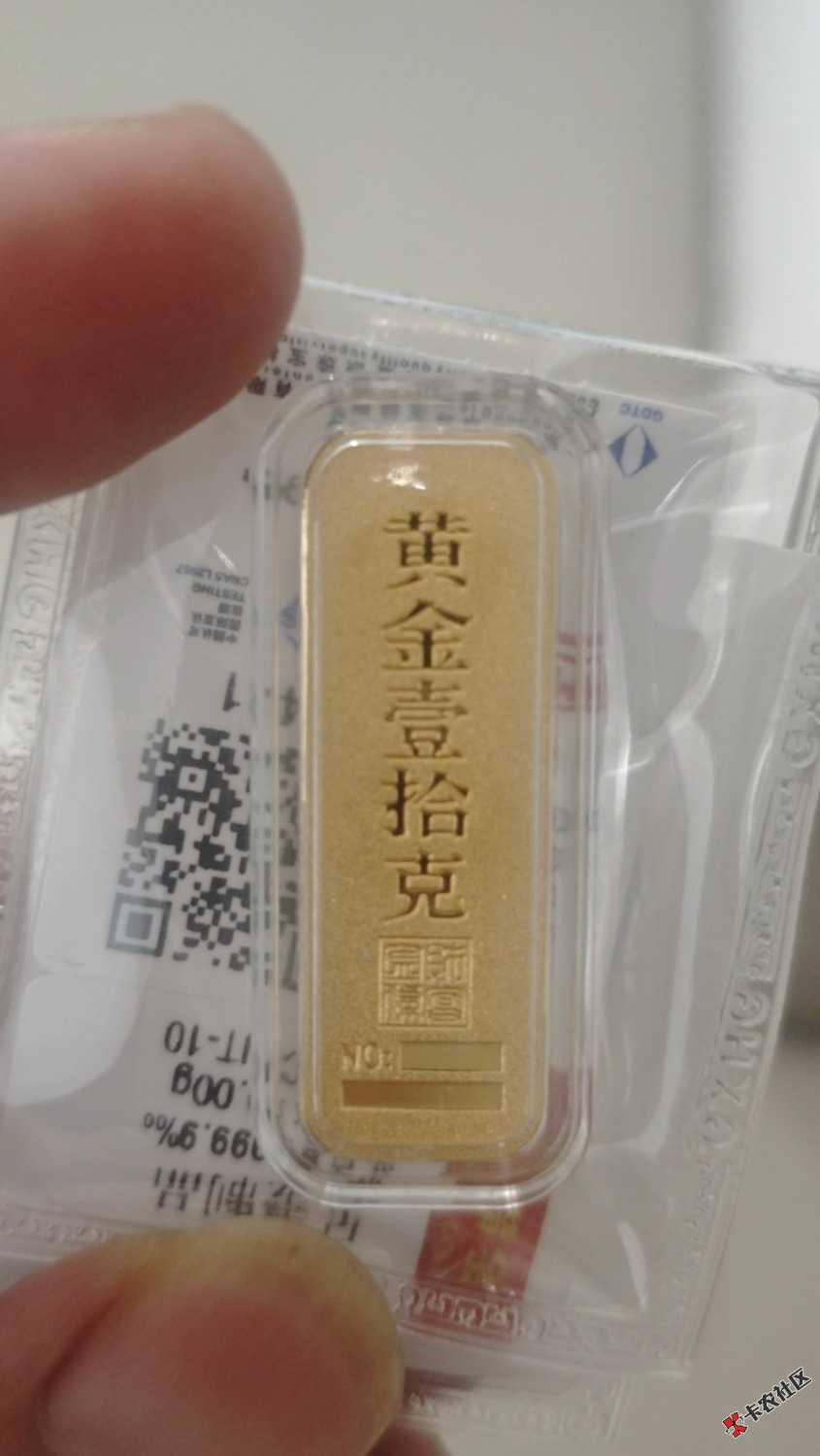 1000023788.jpg