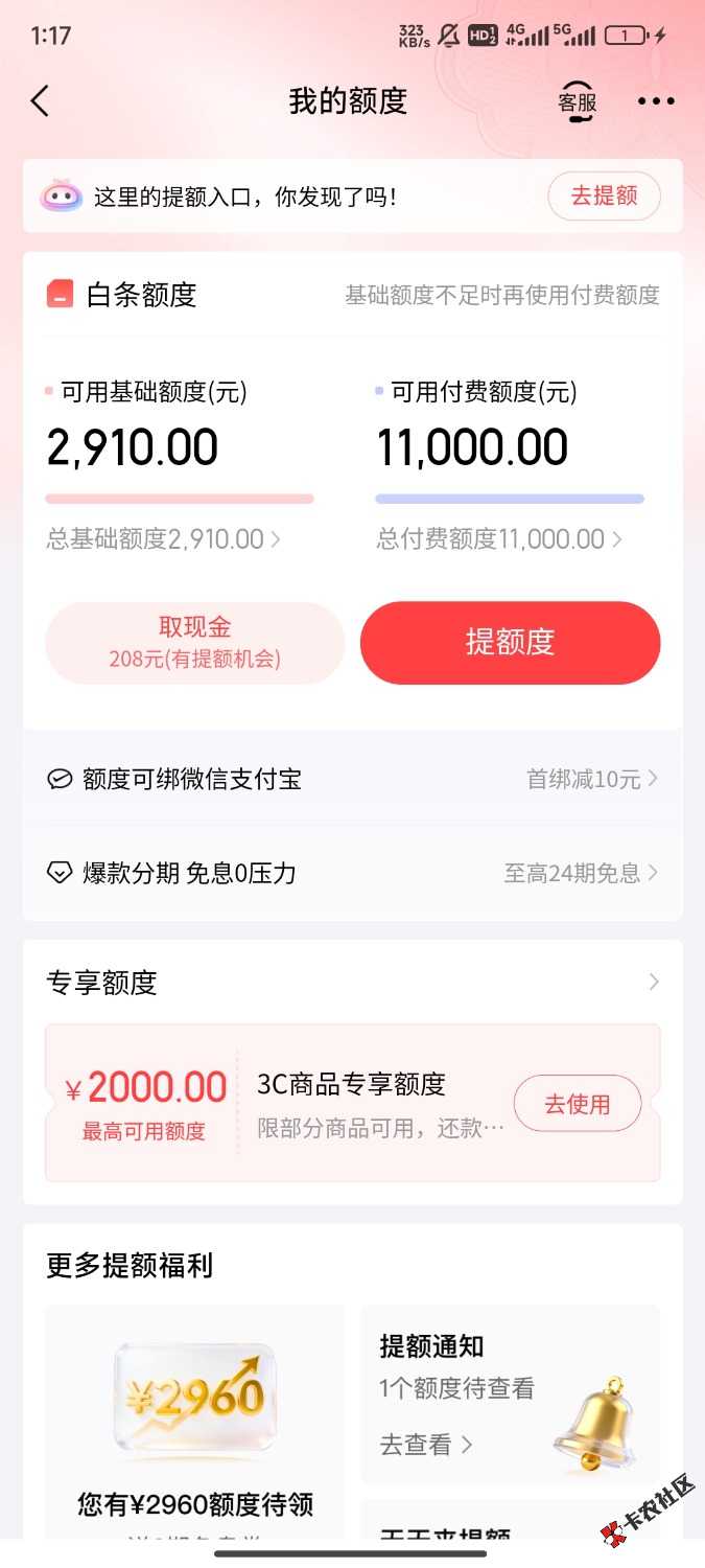 1000028096.jpg