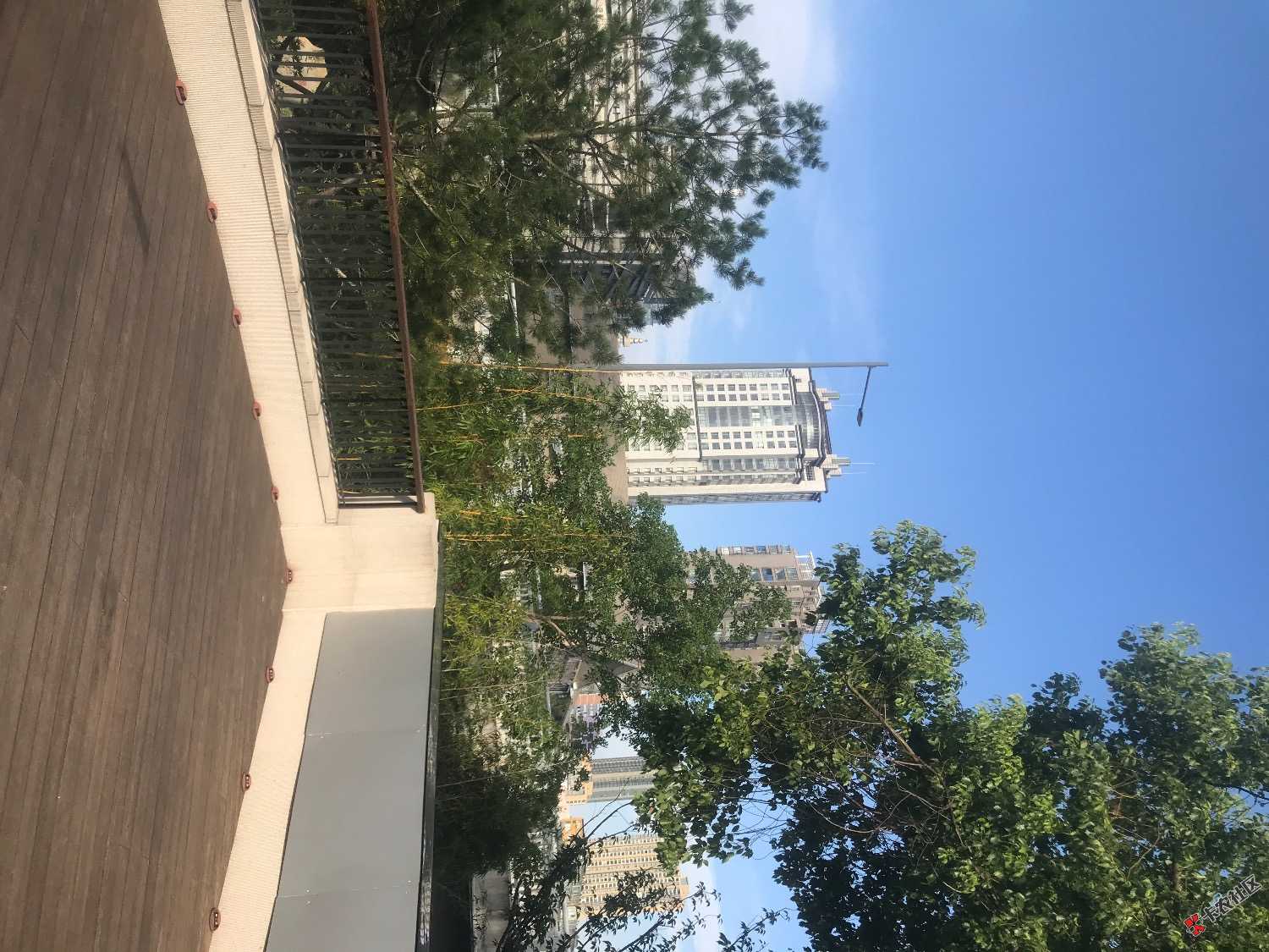 悠哉悠哉17 / 作者:积吉负积极 / 
